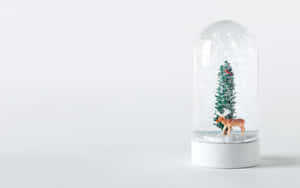 Minimalist Christmas Snow Globe Wallpaper