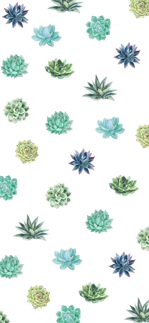 Minimalist Different Succulent Iphone White Wallpaper