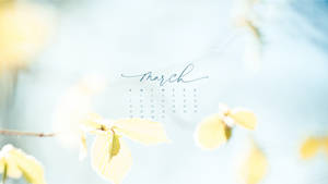 Minimalist March Spring Calendar Wallpaper