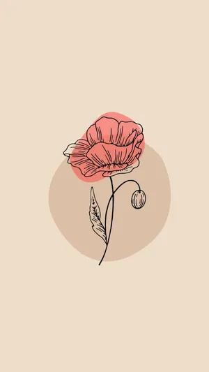 Minimalist Poppy Flower Illustration Wallpaper