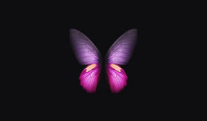 Minimalist Purple Butterfly Phone Background Wallpaper
