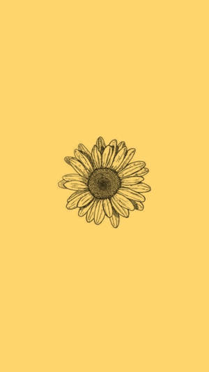 Minimalist Sunflower Art Iphone Wallpaper
