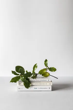Minimalist Twig On Books Wallpaper