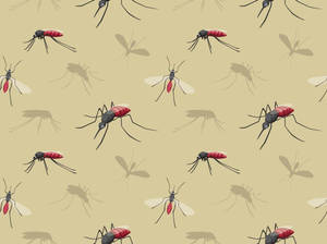 Minimalistic Cartoon Mosquito Wallpaper Wallpaper