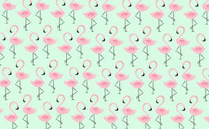 Mint Flamingo Pattern Wallpaper