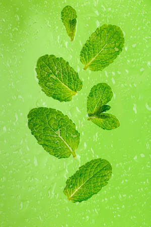 mint green wallpapers