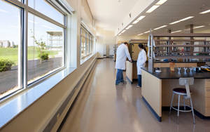 Missouri University Of Science And Technology Students In Lab Wallpaper