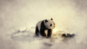 Mist Clouds Beautiful Panda Wallpaper