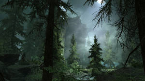 Misty Forest Screenshot Wallpaper