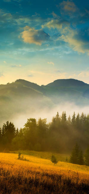 Misty Mountain Forest Top Iphone Hd Wallpaper