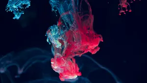 Mix Color Blue And Pink Wallpaper