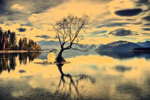 Mixed Digital Art Psyduck Wallpaper