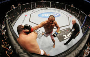 Mixed Martial Artist Dan Henderson Fighting Wallpaper