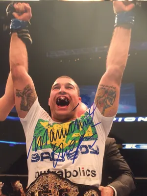 Mixed Martial Artist Mauricio Rua Winning Moment Wallpaper