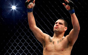 Mma Cain Velasquez Wallpaper