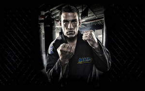 Mma Fabricio Werdum Wallpaper