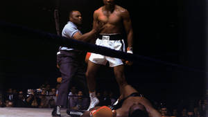 Mma Pioneer Muhammad Ali Wallpaper