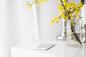 Mobile Phone Beside Yellow Flowers Wallpaper