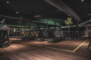 Modern Gym Treadmill Section Wallpaper
