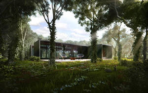 Modern House Middle Of Forest Wallpaper