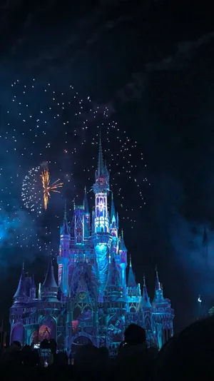 Moments Of Magic At Disney World Wallpaper
