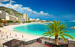 Monaco White Beach Wallpaper