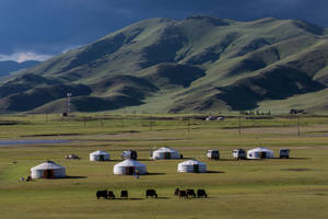 Mongolia Green Plains Wallpaper
