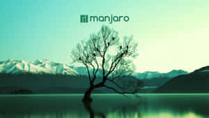 Monjaro Logo Tree Wallpaper