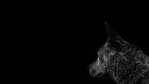 Monochromatic Aesthetic - Black Pc And Gray Timber Dog Wallpaper