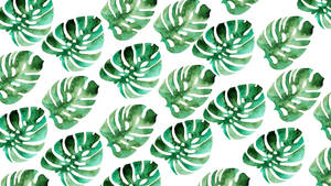 Monstera Leaf Backdrop Wallpaper