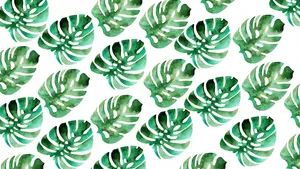 Monstera Leaf Backdrop Wallpaper