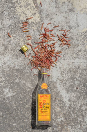 Monte Alban Mezcal Tequila With Spilled Agave Worms Wallpaper