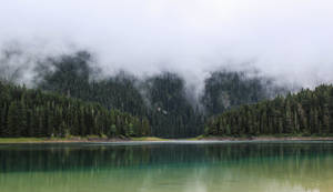 Montenegro Foggy Durmitor Wallpaper