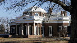 Monticello Behind Tree Wallpaper