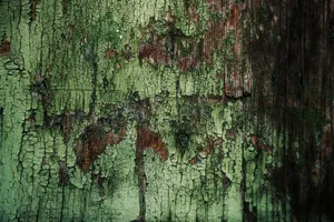Moody Dark Green Grunge Texture Wallpaper