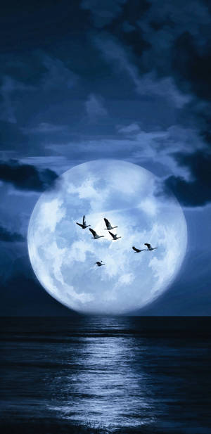 Moon Phone Birds In Sky Wallpaper