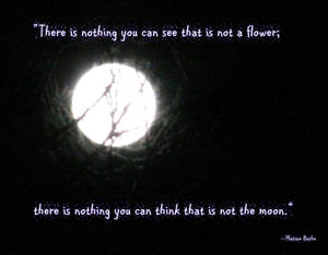 Moon Quote Matsu Basho Wallpaper