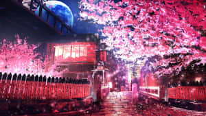 Moonlit Sakura Street Anime Scene Wallpaper