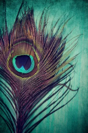 Mor Pankh Dirty Green Background Wallpaper