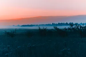 Morning Sunrise In April Wallpaper