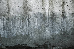 Mossy And Grunge Texture Concrete Wallpaper