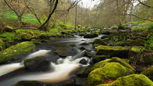 Most Beautiful Desktop Water And Rocks Wallpaper