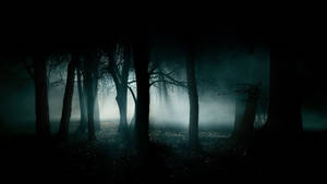 Most Scary Haunted Forest Wallpaper