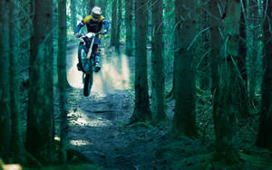 Motocross Forest Jump Wallpaper