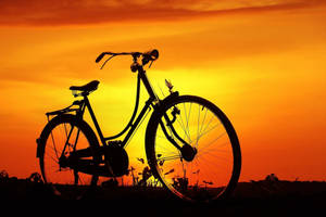 Mountain Bike Sunset Silhouette Wallpaper