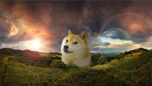Mountain Doge Meme Wallpaper
