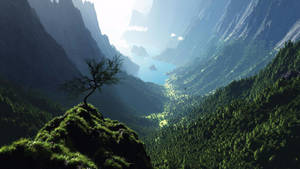 Mountain Forest Valley Uhd Wallpaper