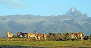 Mountain View In Kenya Africa Wallpaper