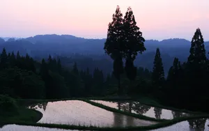 Mountain View Wallpaper