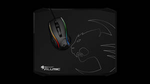 Mouse With Aerodynamic Design Wallpaper